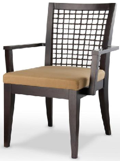 Euro dining arm chair