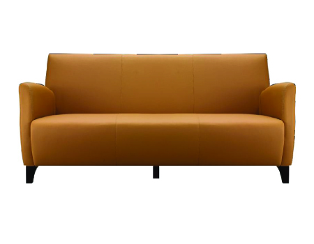 BD026-3 Sofa