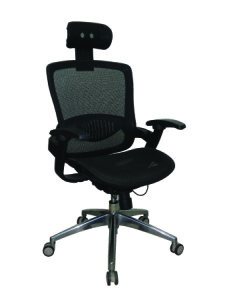 Ergotech Mesh - High Back Office Chair