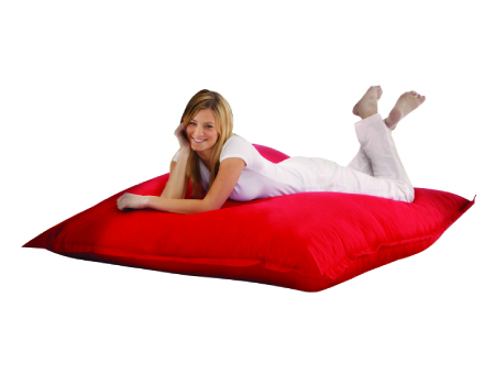 Pillow Bean bag 1